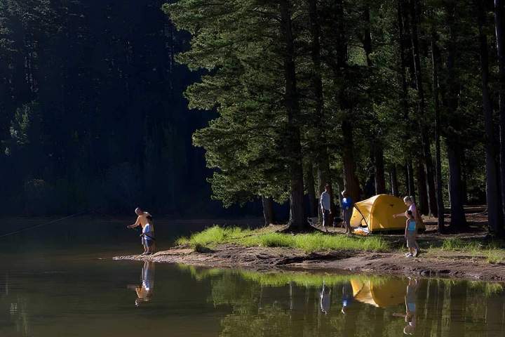 La forêt Verneuil-en-Halatte